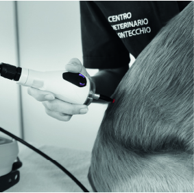 vet laser therapy laserpuncture