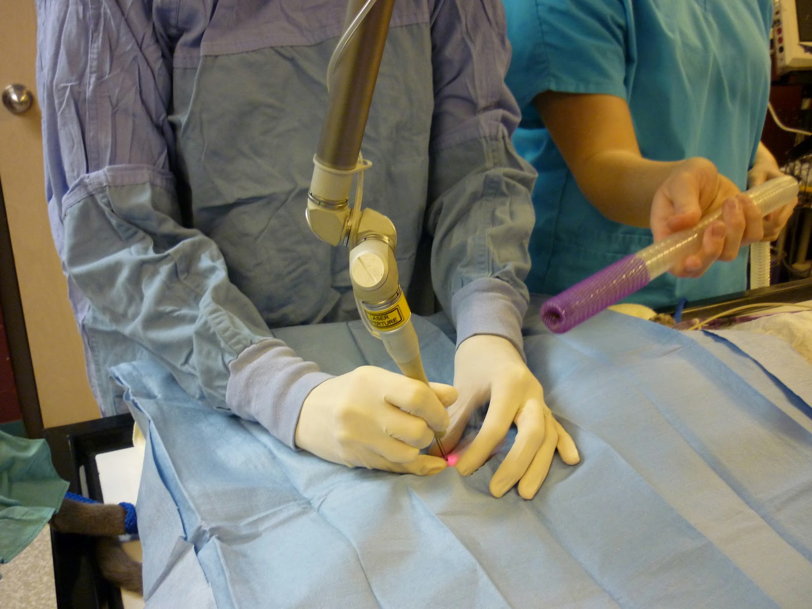 Learn why Doctors at Klingele Veterinary Clinic are choosing Cutting Edge Lasers over others, and how they are successfully implementing it.