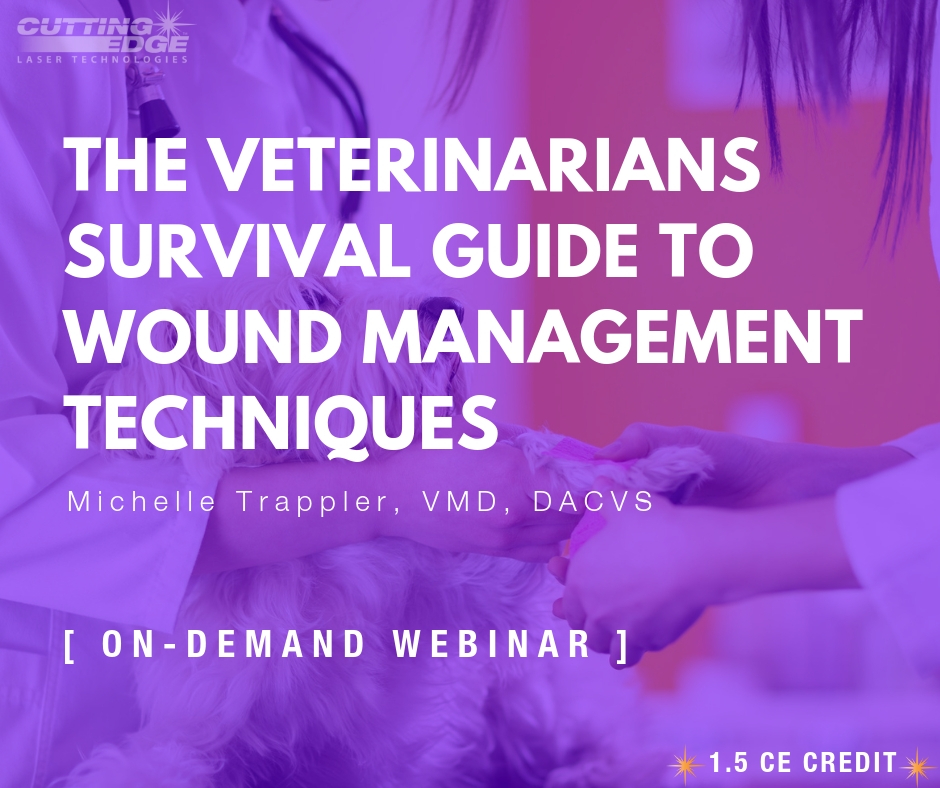 THE VETERINARIANS SURVIVAL GUIDE TO WOUND MANAGEMENT TECHNIQUES Michelle Trappler, VMD, DACVS [ ON - DEMAND WEBINAR ]