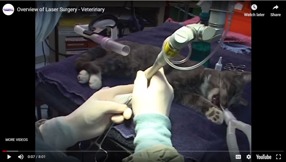 Overview of Laser Surgery - Veterinary
