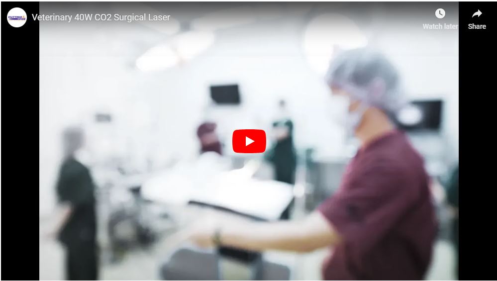 Veterinary 40W CO2 Surgical Laser