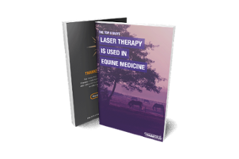 Two books on laser therapy