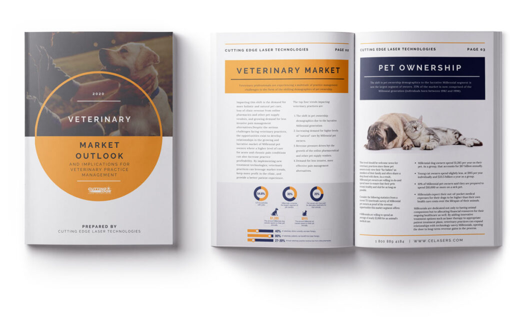 2020 Veterinary Market Outlook Mockup