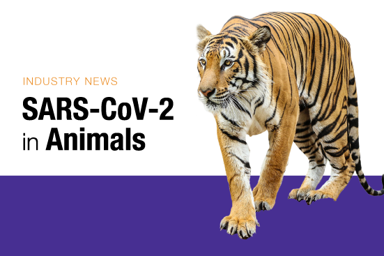 SARS-CoV-2-in Animals Knowledge Center graphic
