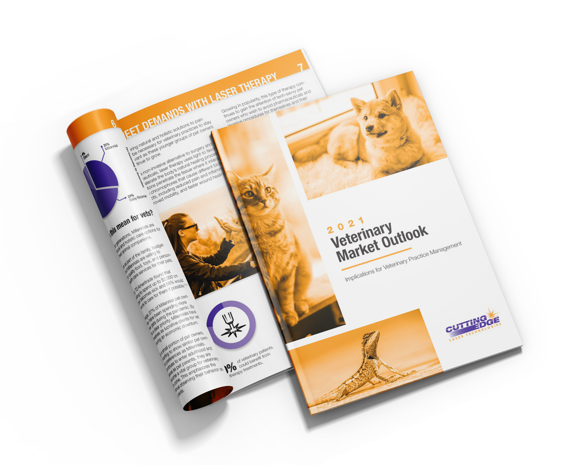 2021 Veterinary Market Outlook with Transparent Background