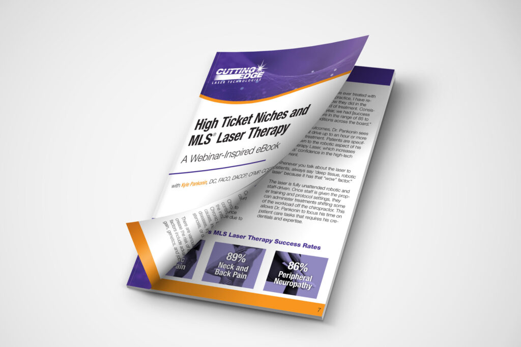 pankonin ebook mockup grey background