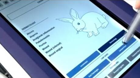 Rabbit protocol
