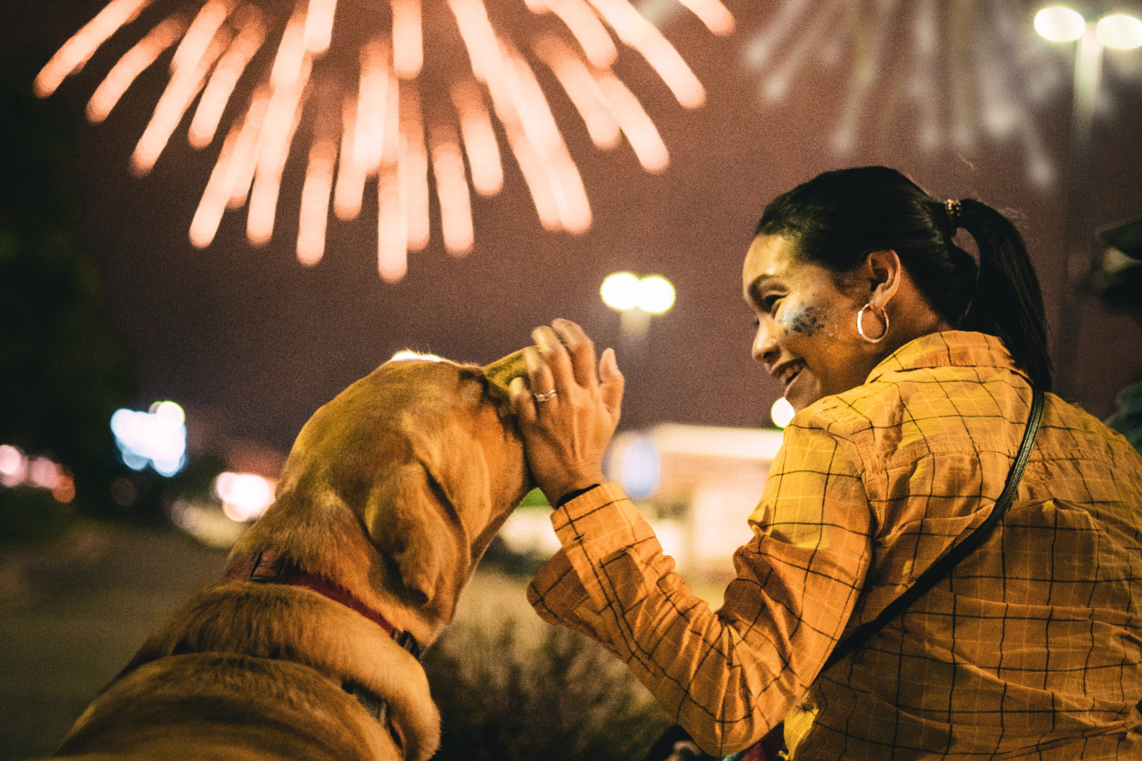 Woman comforting dog with fireworks