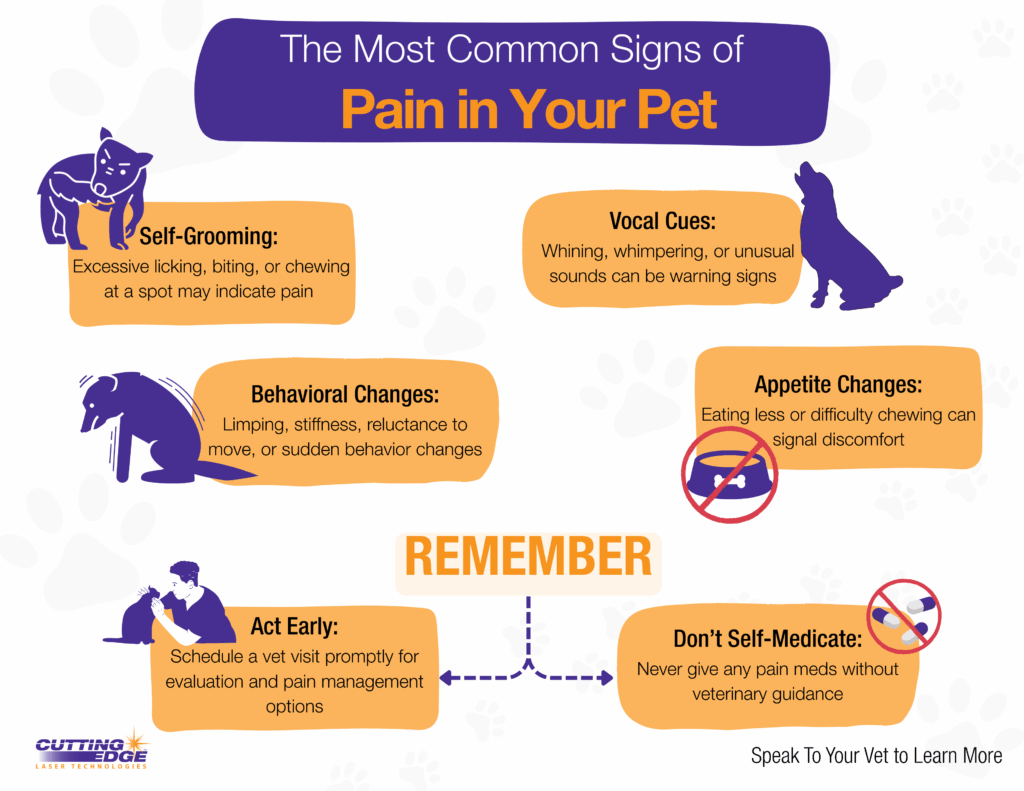Pain in Pets Infographic