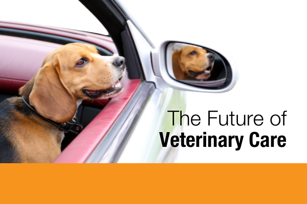 The Future of Veterinary Care