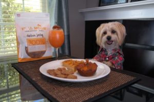 Thanksgiving feast for dogs